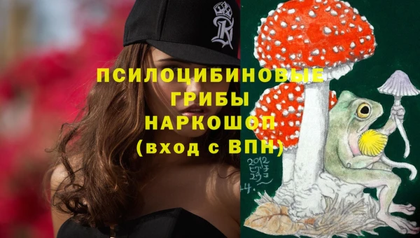 ГАЛЛЮЦИНОГЕННЫЕ ГРИБЫ Балабаново