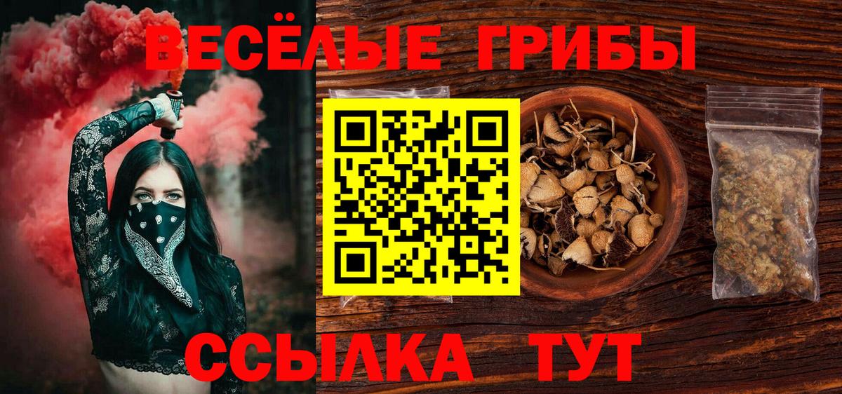 Псилоцибиновые грибы ЛСД Баксан