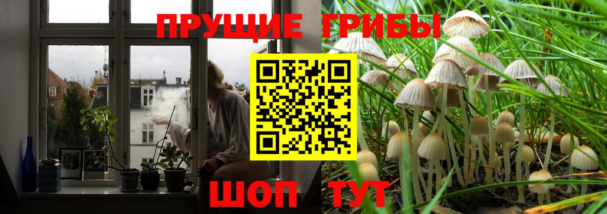 Галлюциногенные грибы прущие грибы  купить наркоту  Вход с VPN  Баксан  Галлюциногенные грибы прущие грибы 