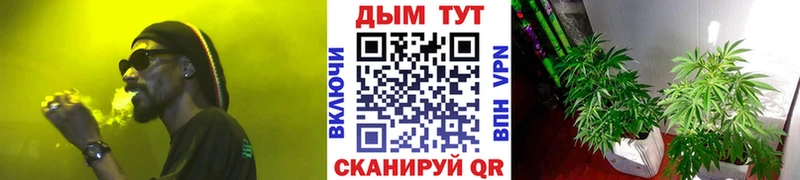 Бошки Шишки марихуана  omg ссылка  Баксан 